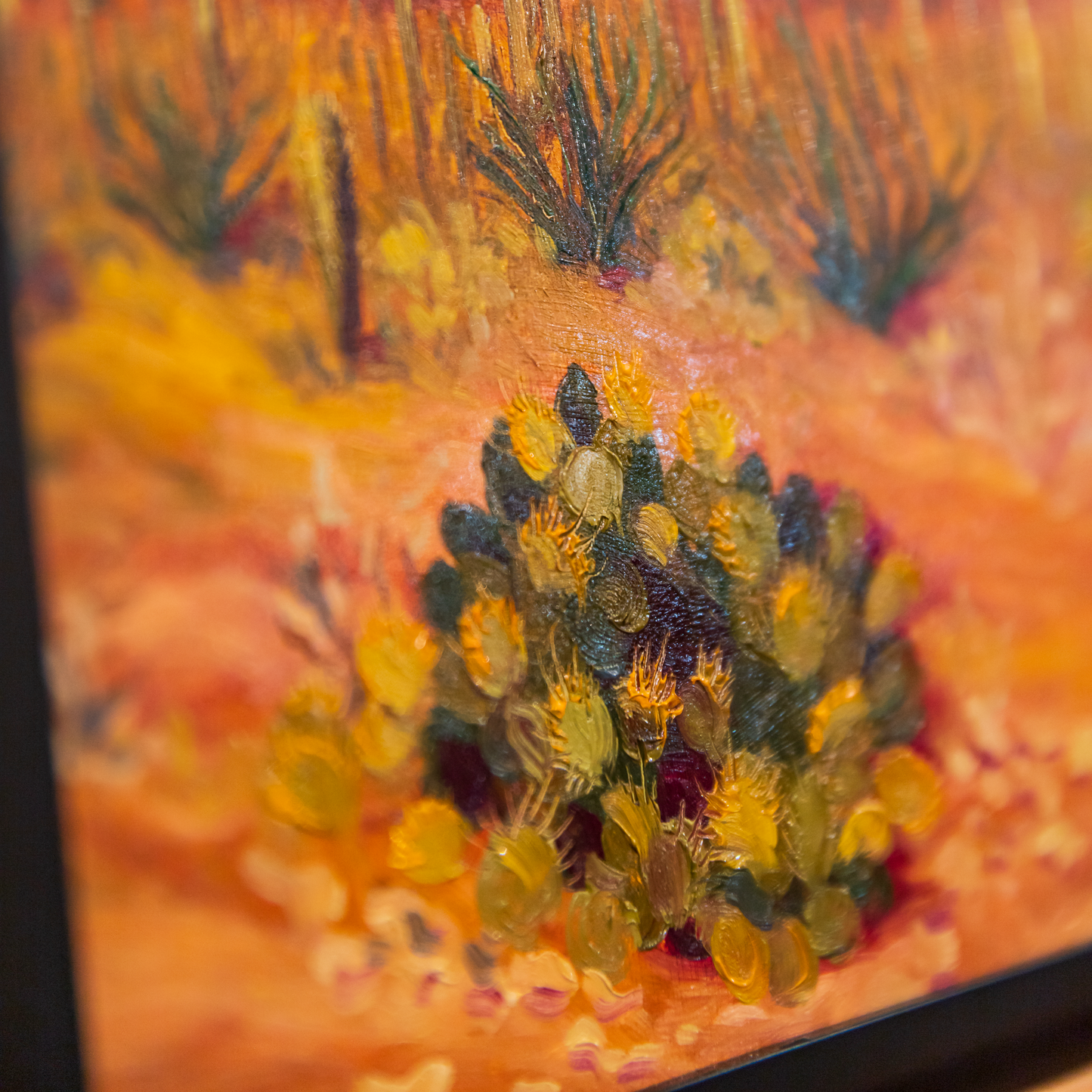 Cactus Fields