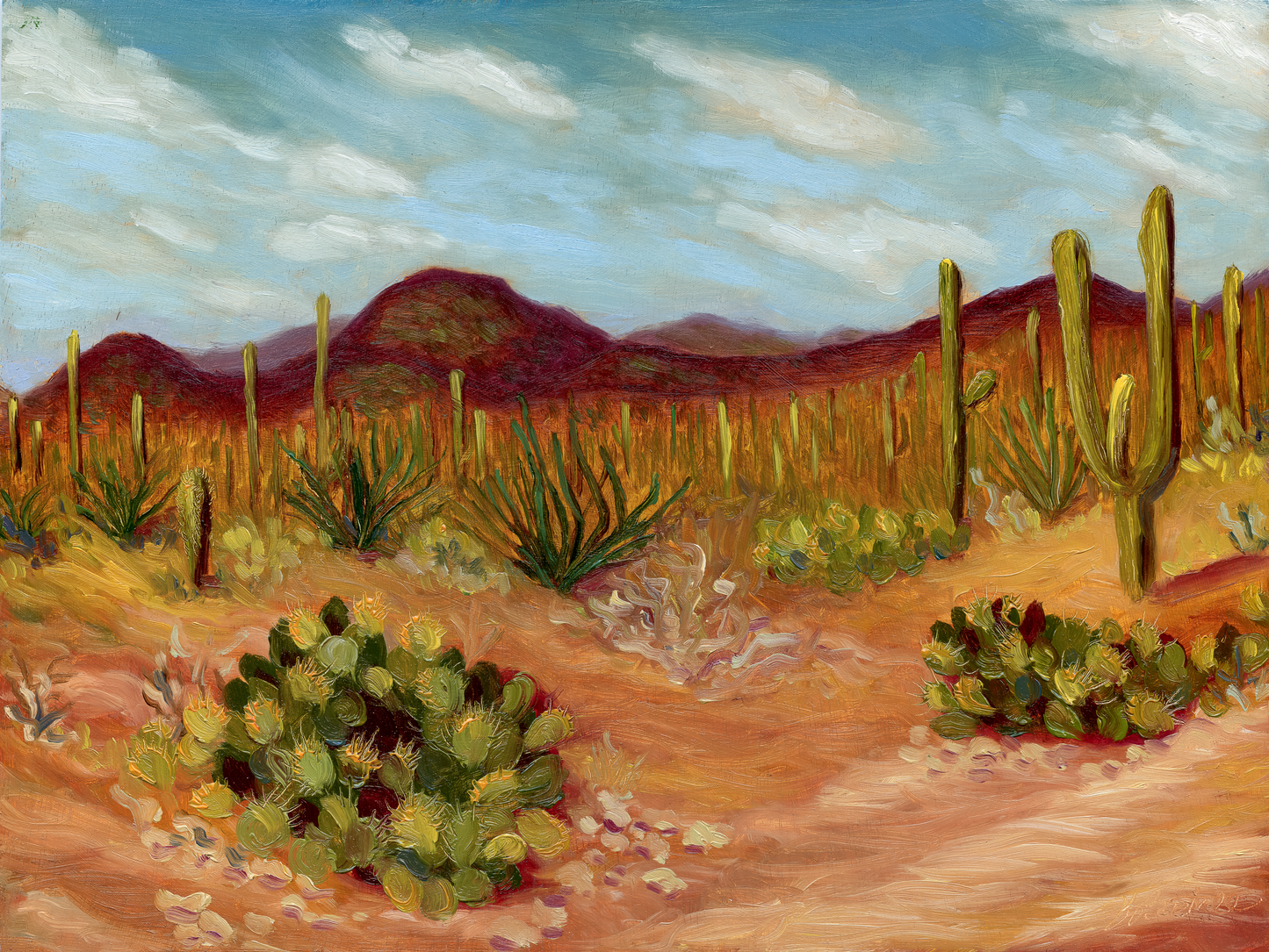 Cactus Fields