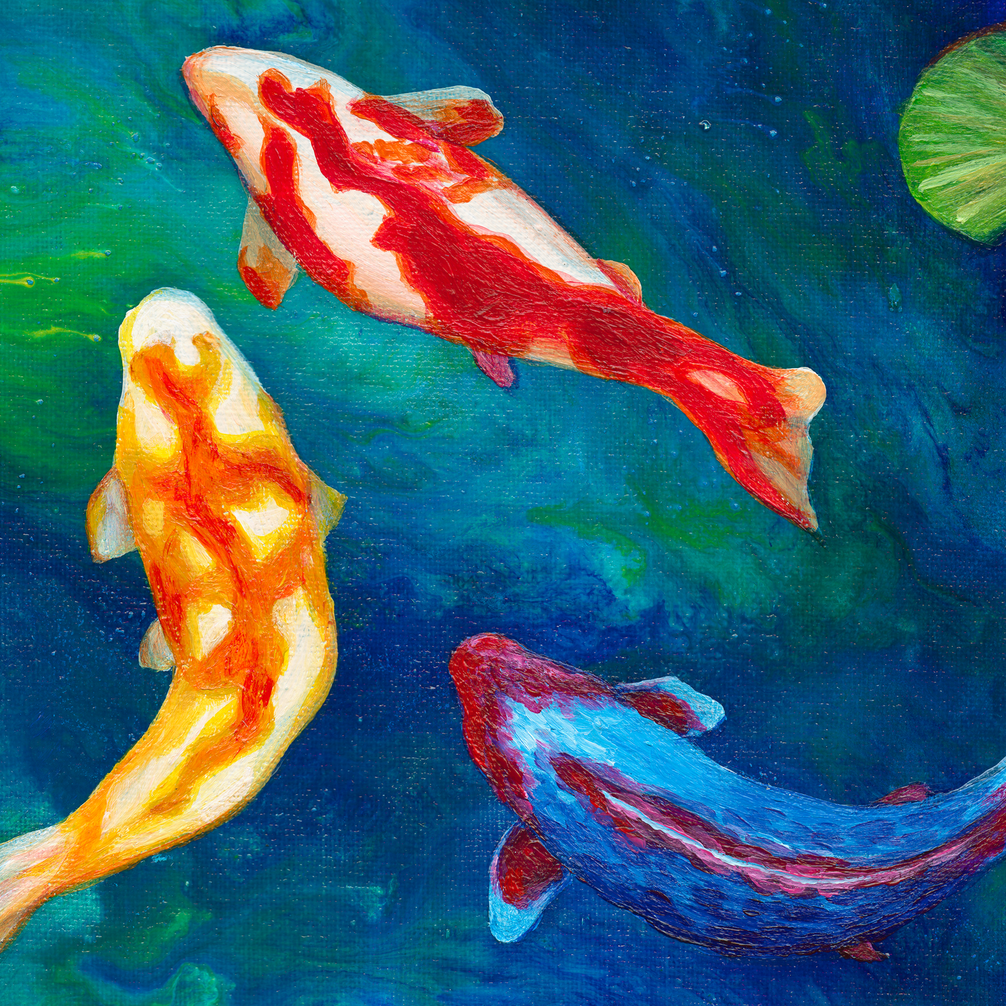 Koi