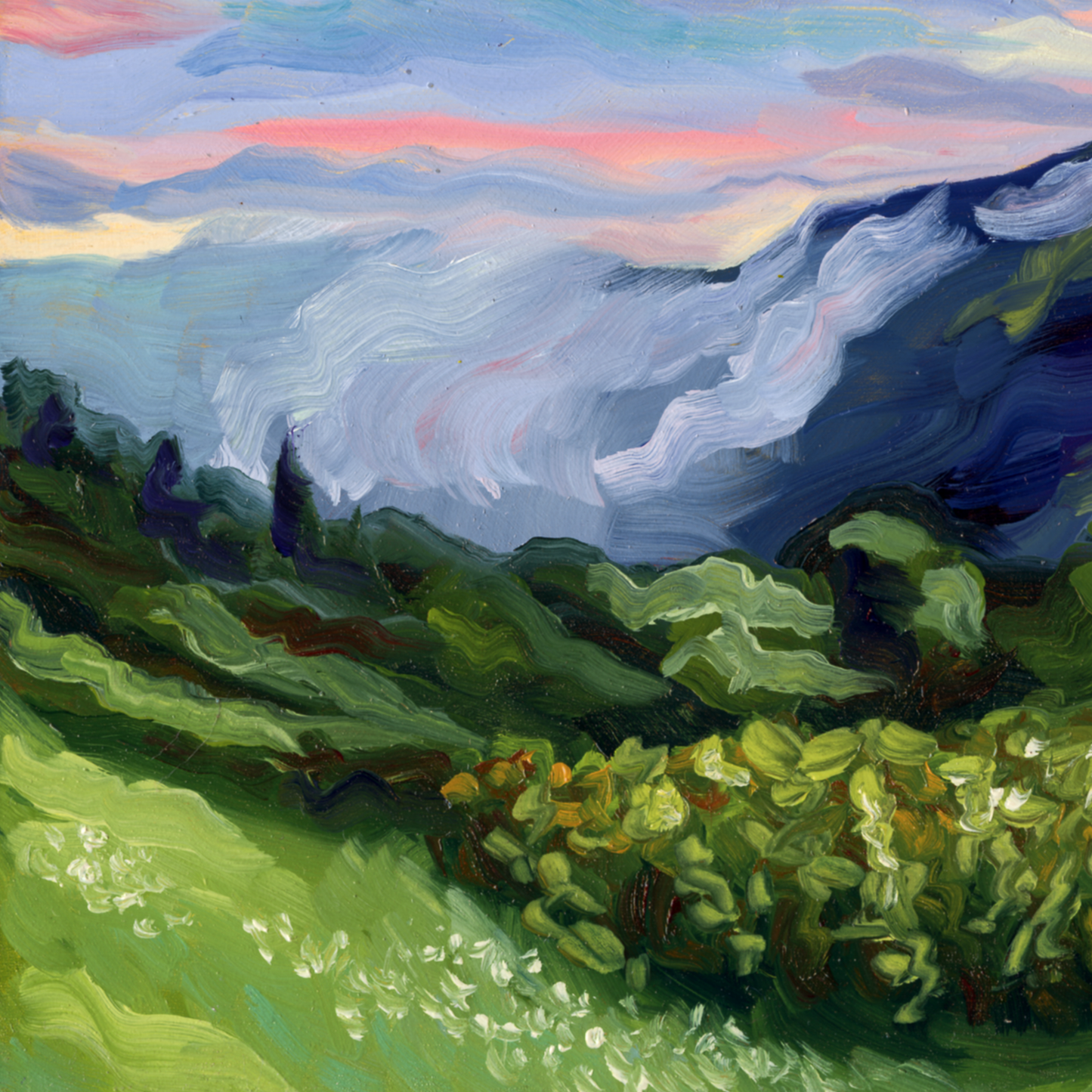 Mountain Mist