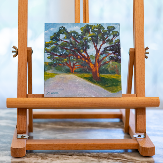 Trees of Tallahassee #2