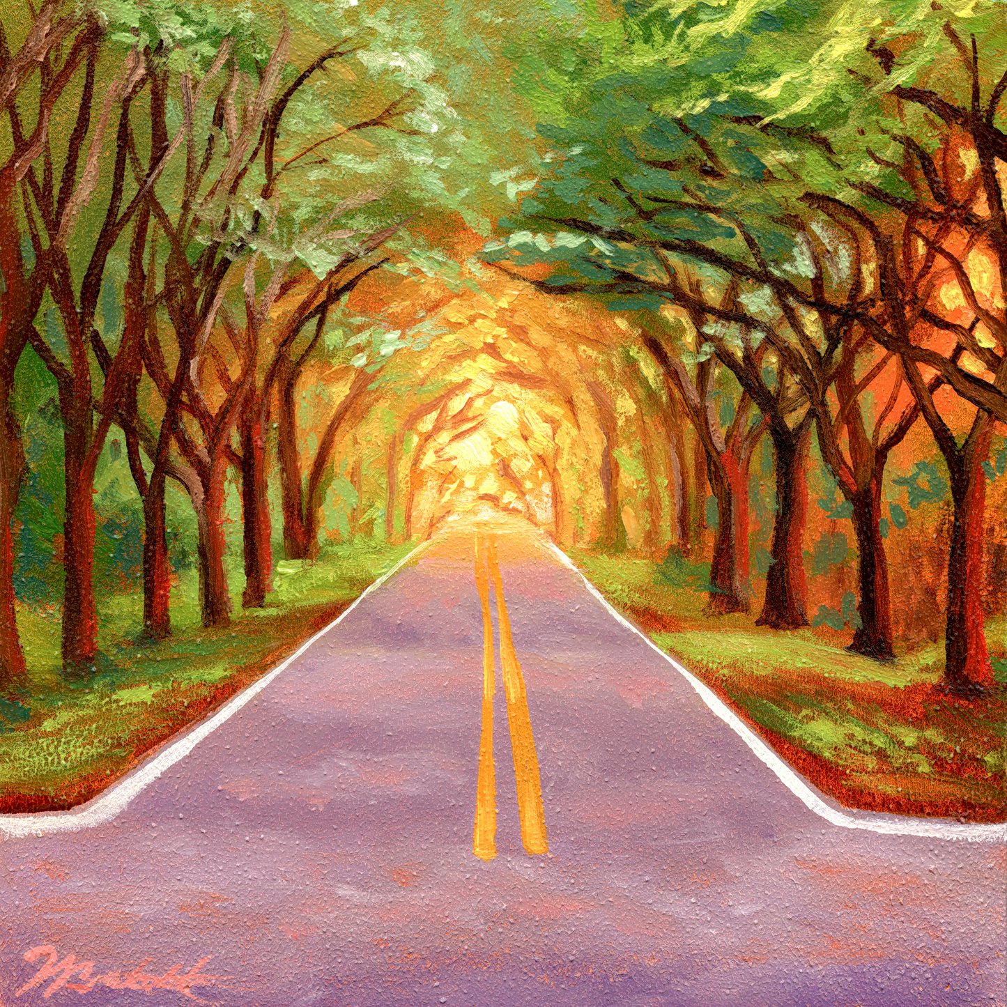 Trees of Tallahassee #8