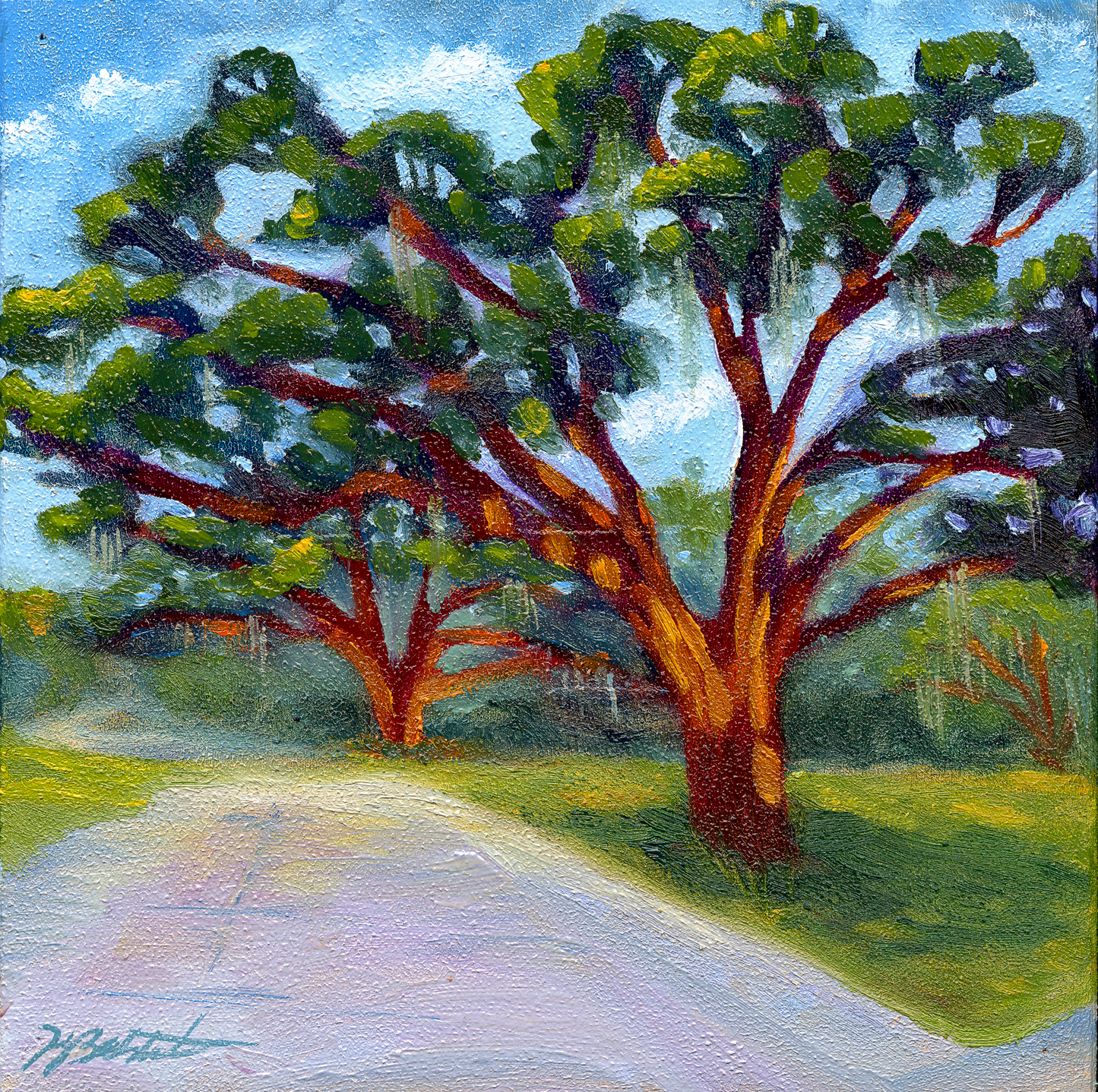 Trees of Tallahassee #2