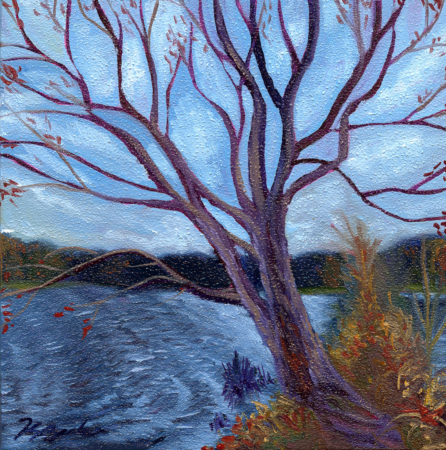 Trees of Tallahassee #3