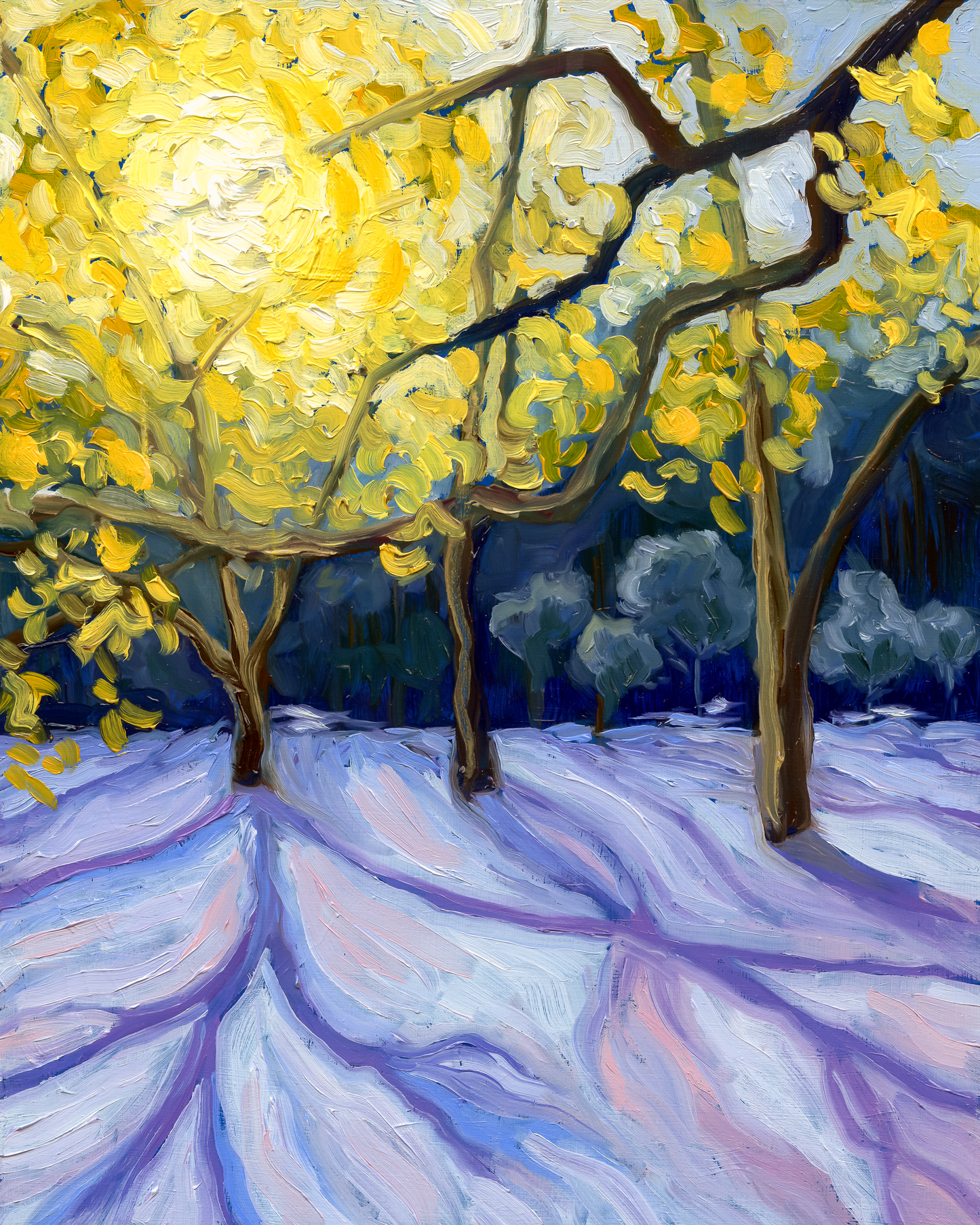 Winter's Glow