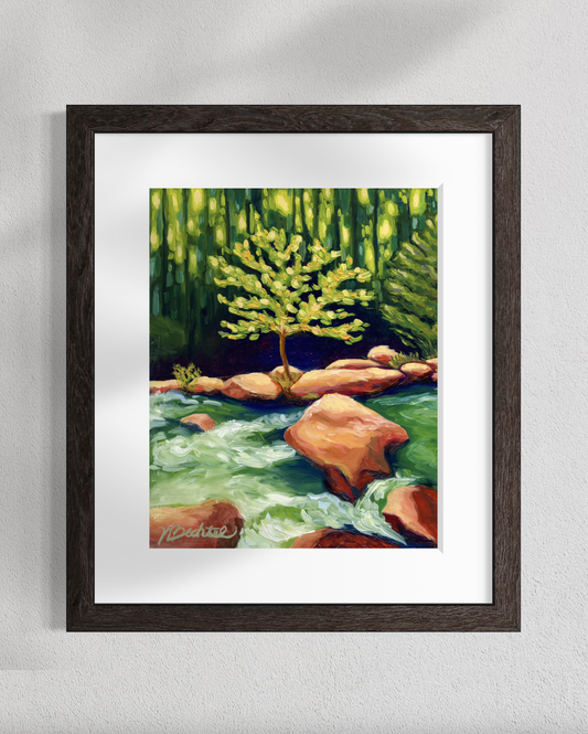 "Finding the Light" Fine Art Prints