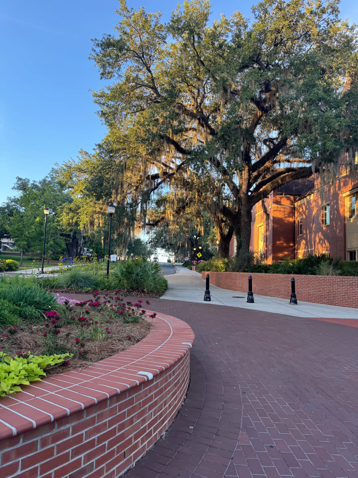 Campus Morning