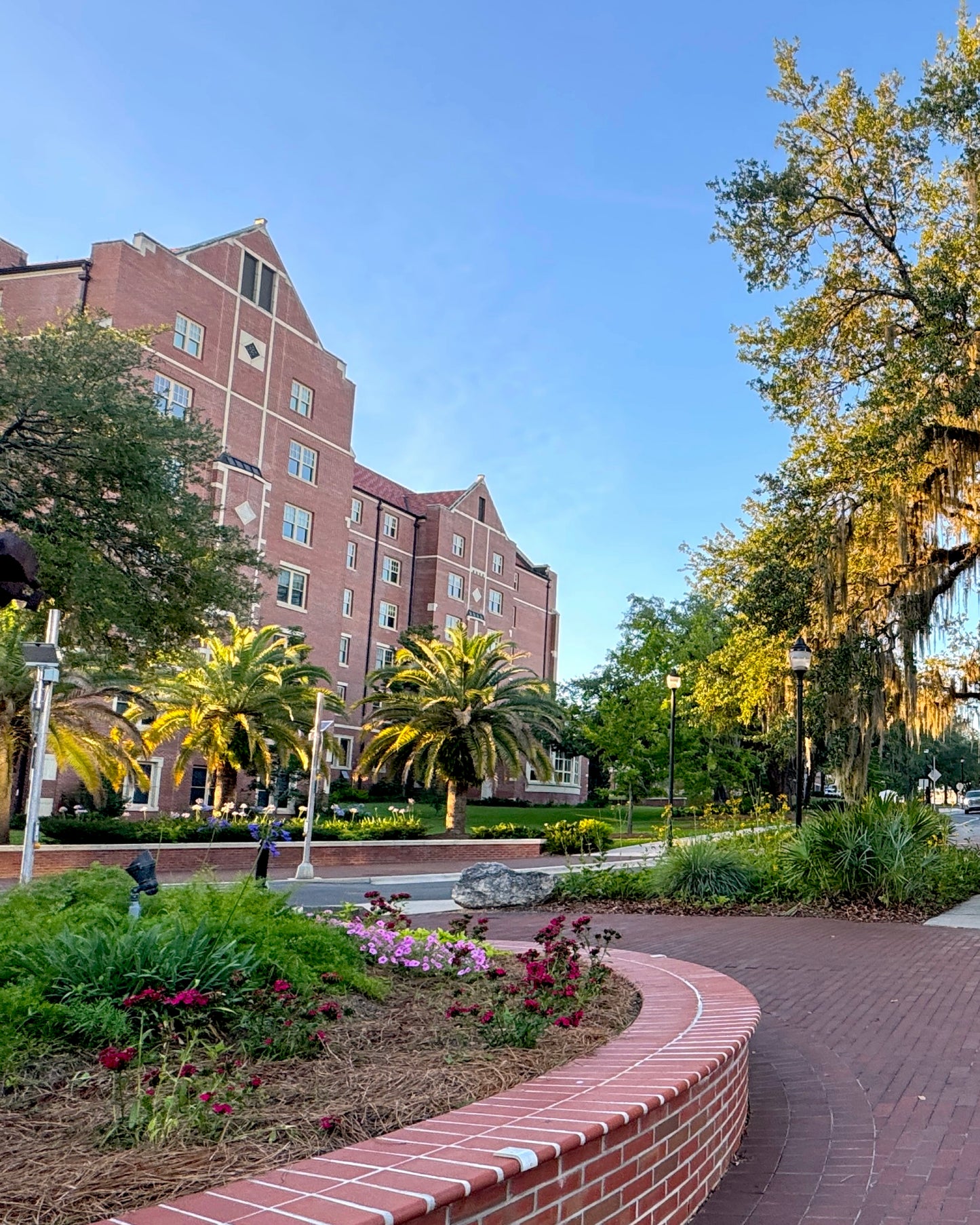 Campus Morning