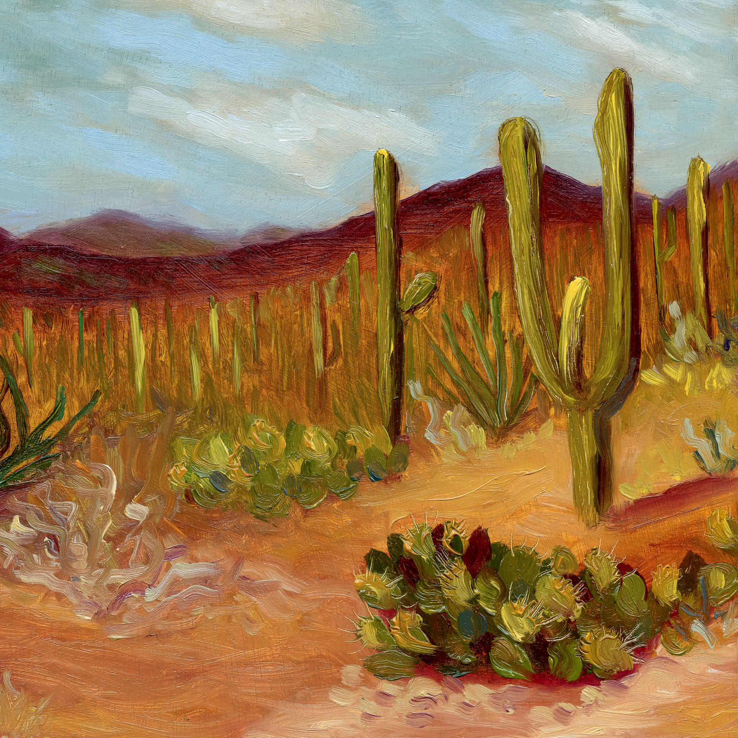 Cactus Fields