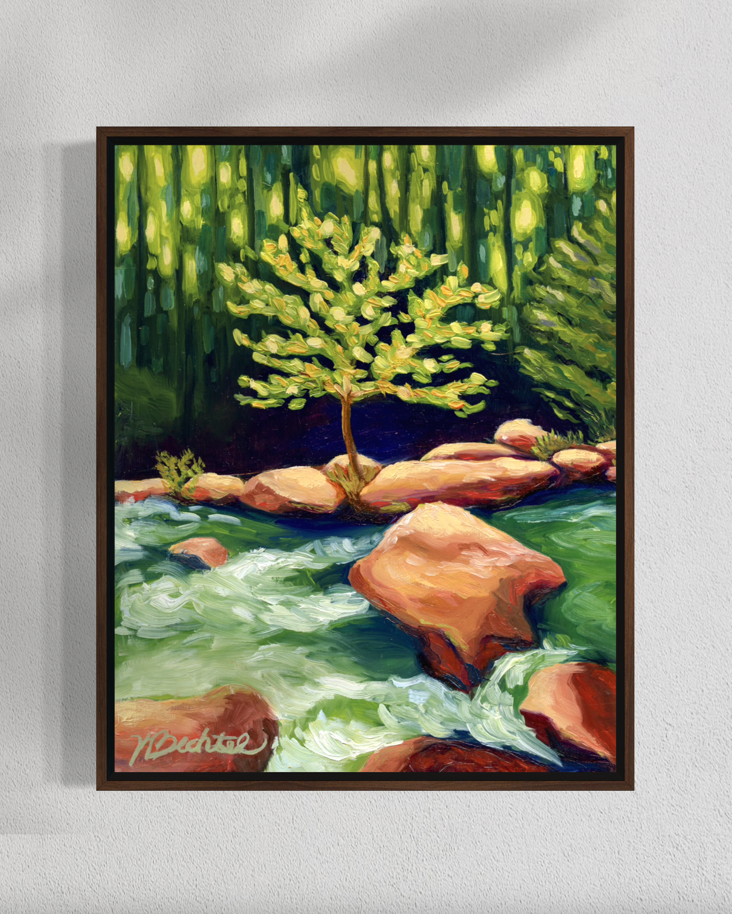 "Finding the Light" Fine Art Prints