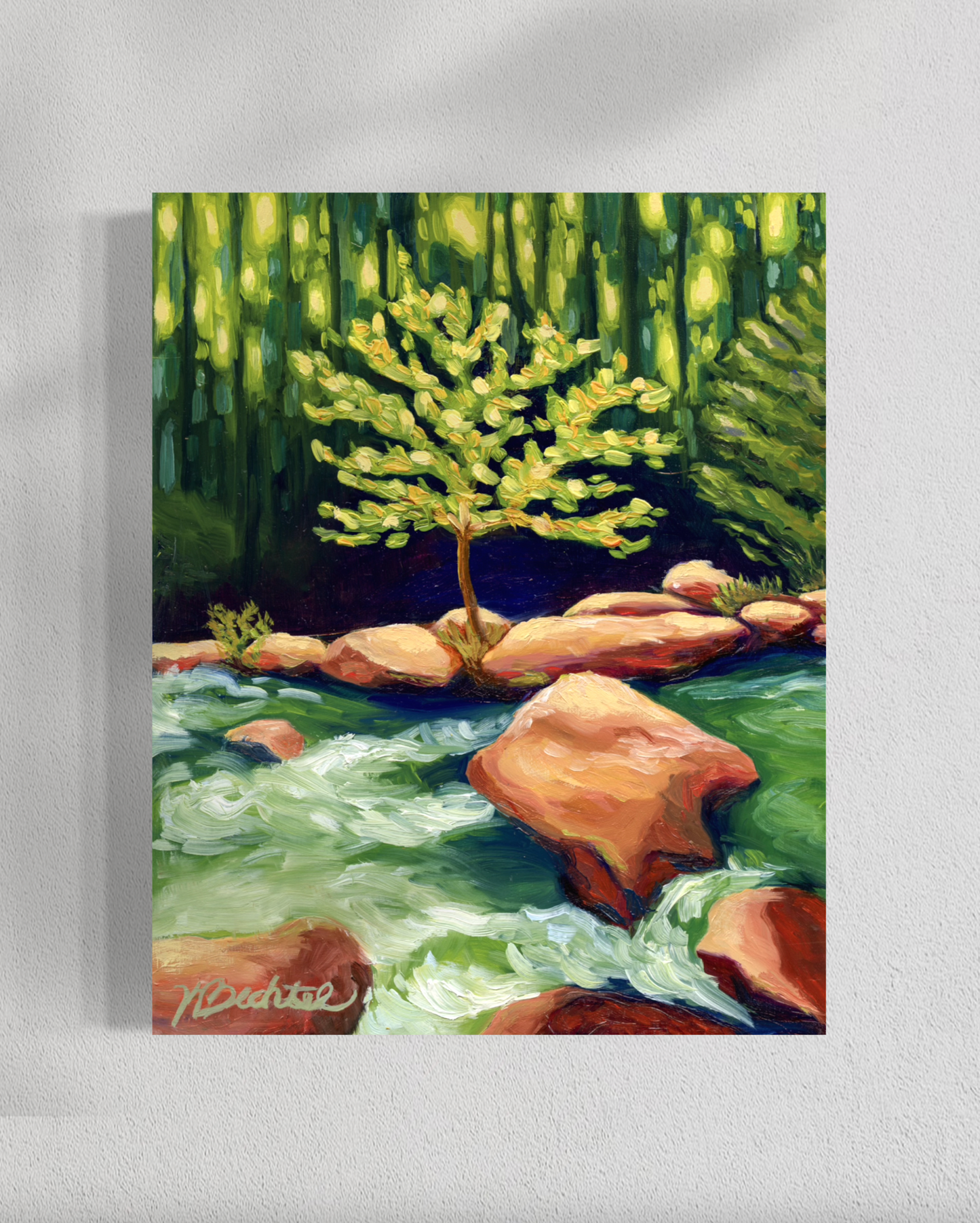 "Finding the Light" Fine Art Prints