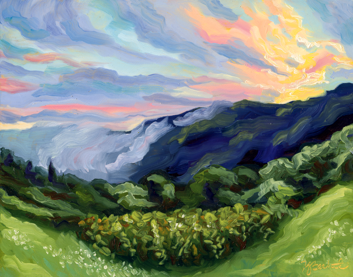 Mountain Mist