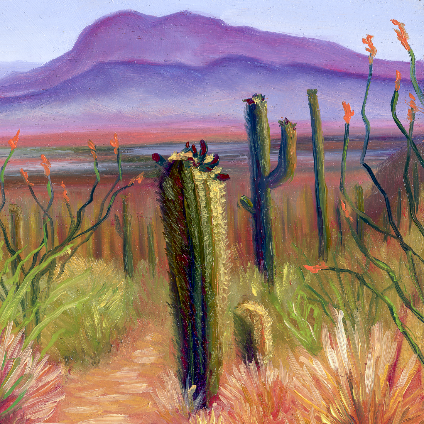 Saguaro Distance