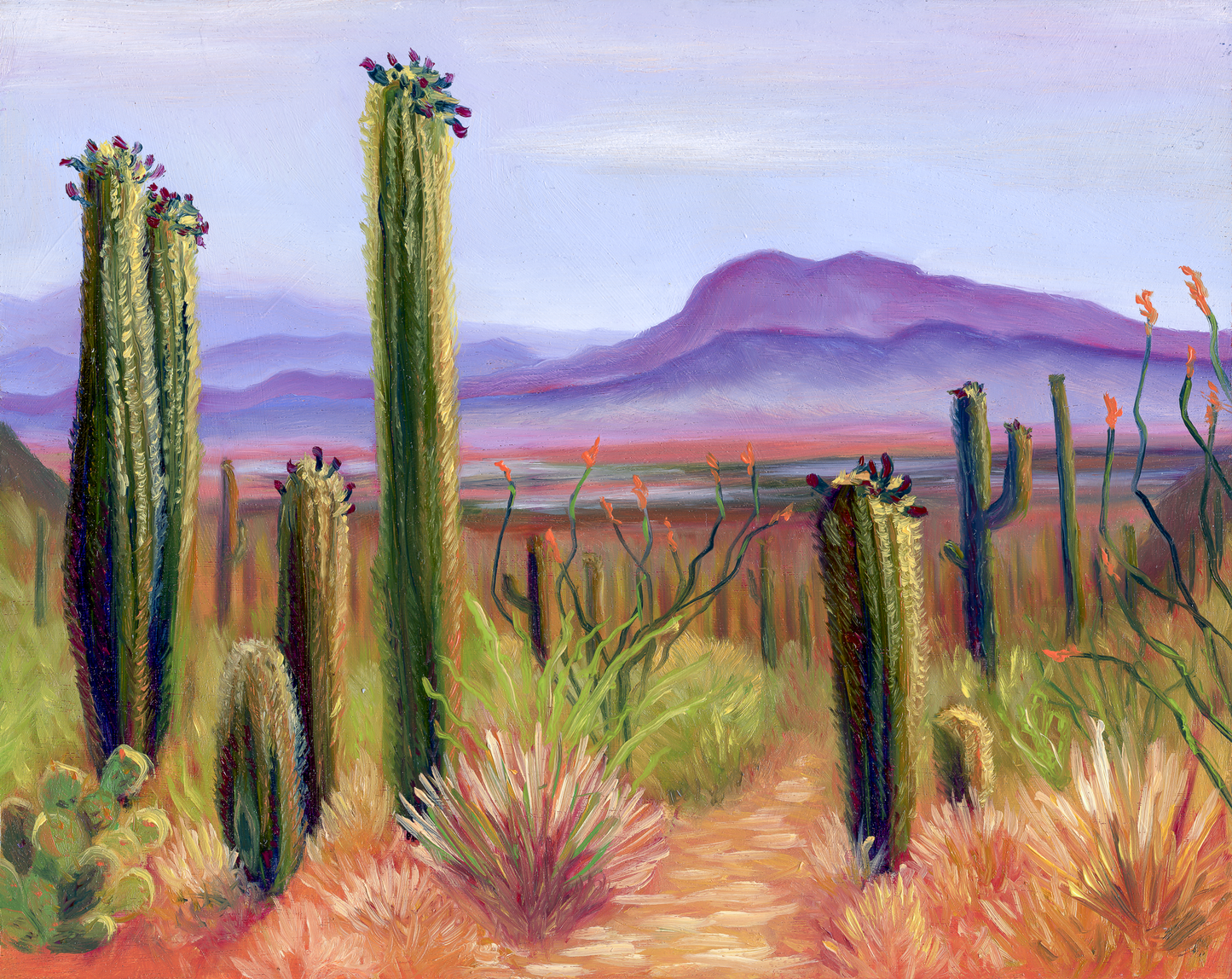 Saguaro Distance