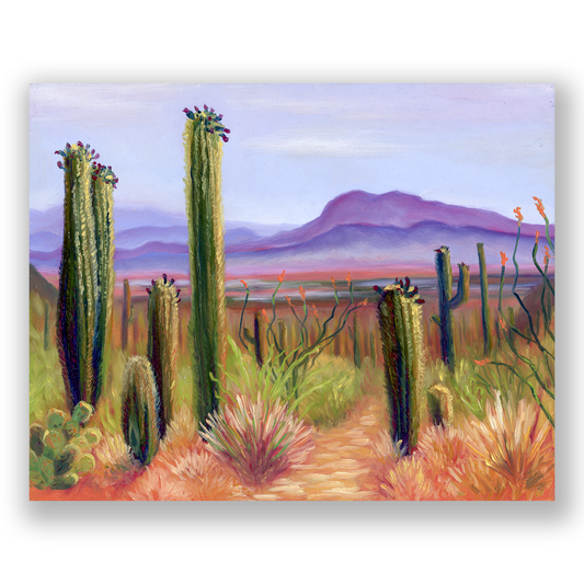 Saguaro Distance