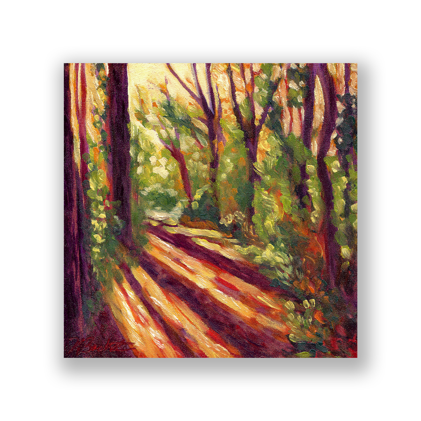 Trees of Tallahassee #1