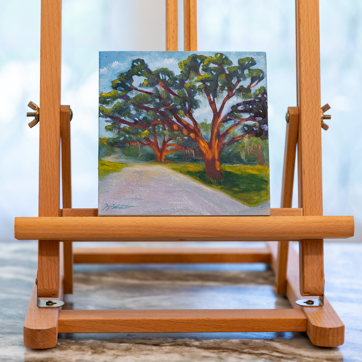Trees of Tallahassee #2