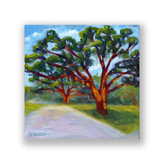 Trees of Tallahassee #2