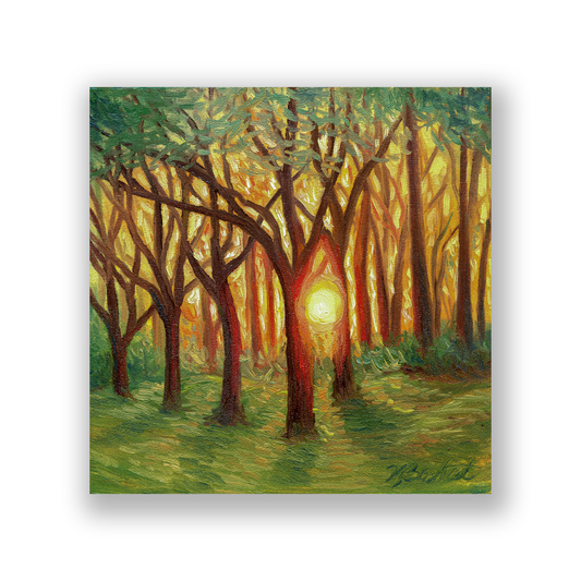 Trees of Tallahassee #4