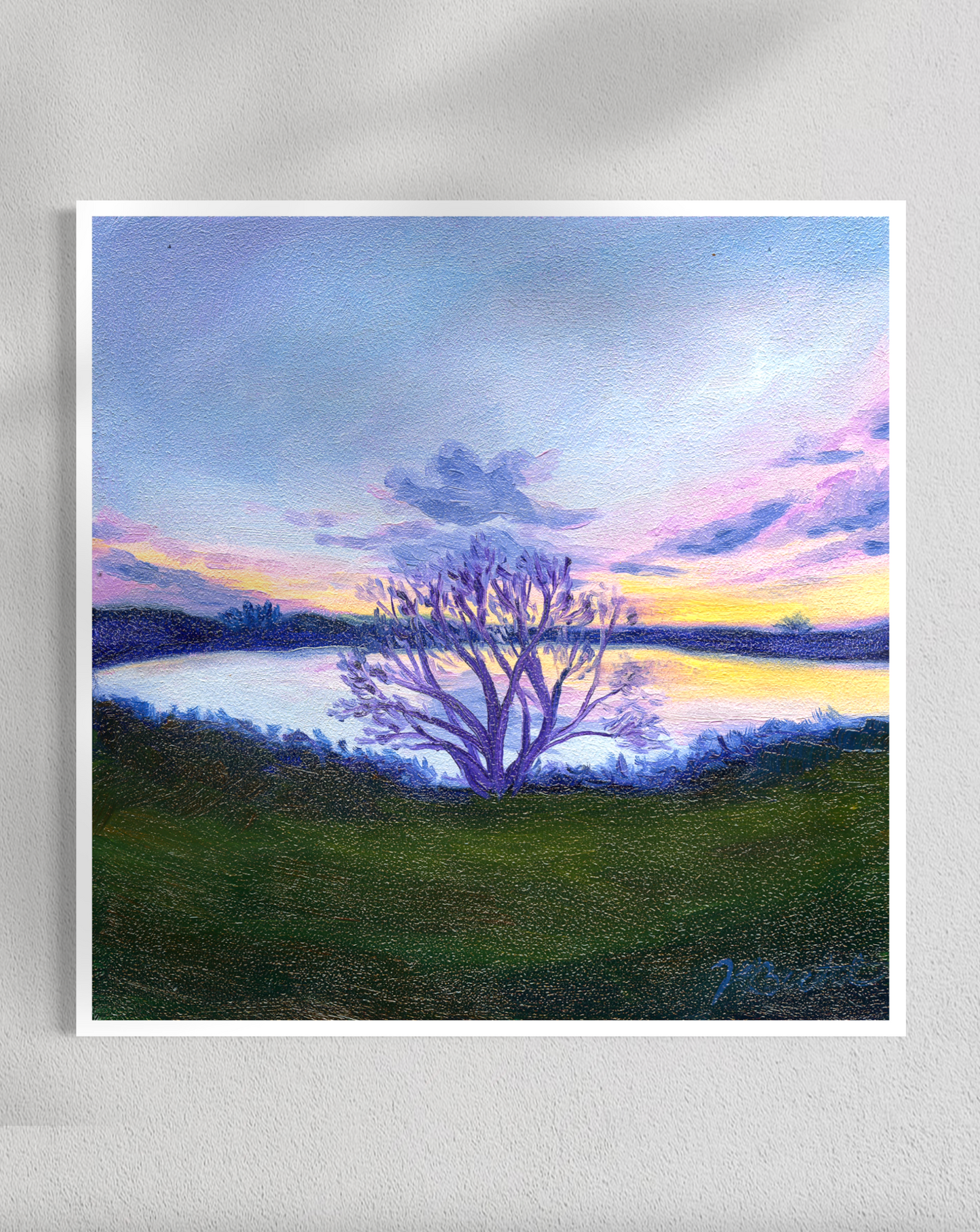"Trees of Tallahassee #5" Fine Art Prints