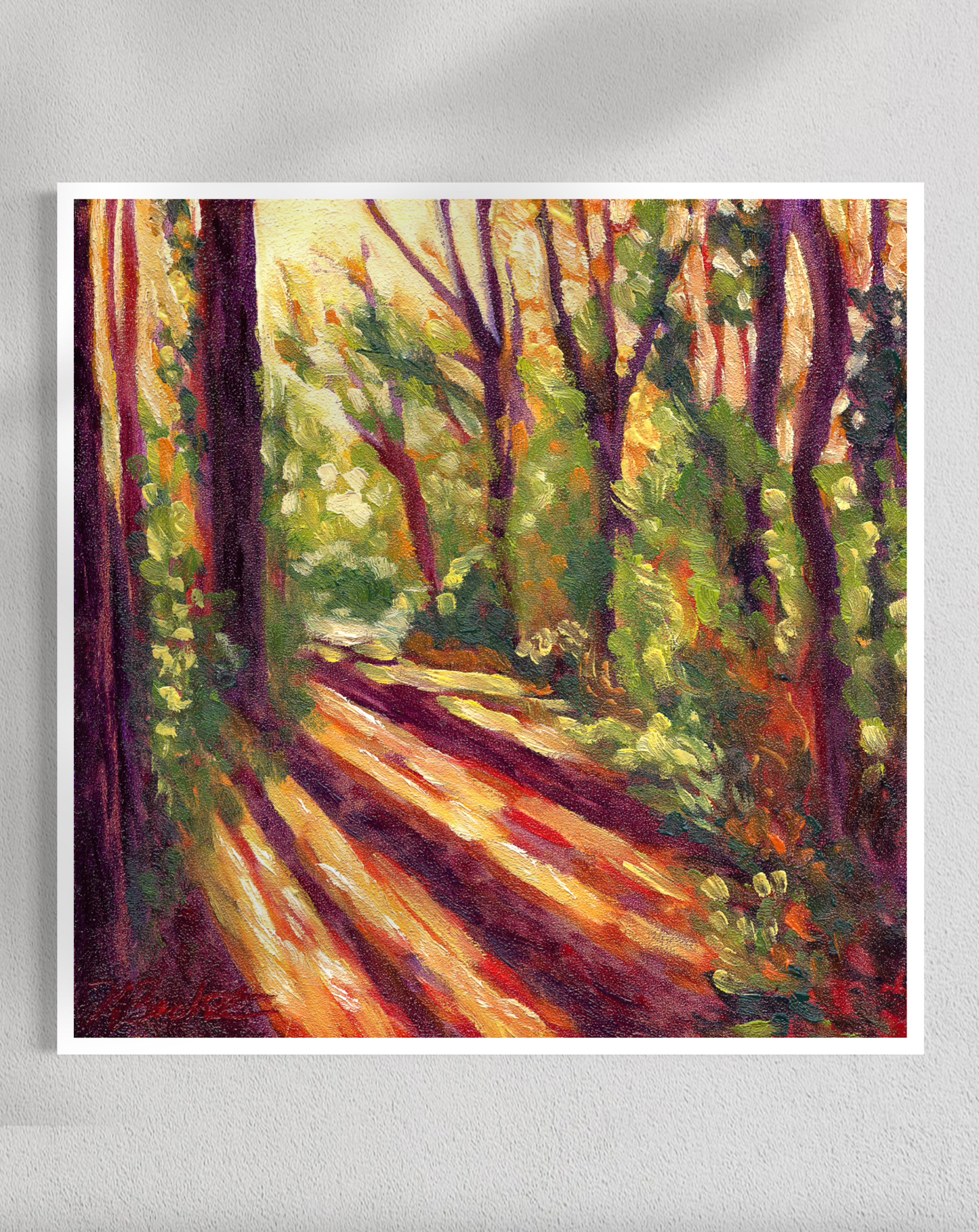 "Trees of Tallahassee #1" Fine Art Prints