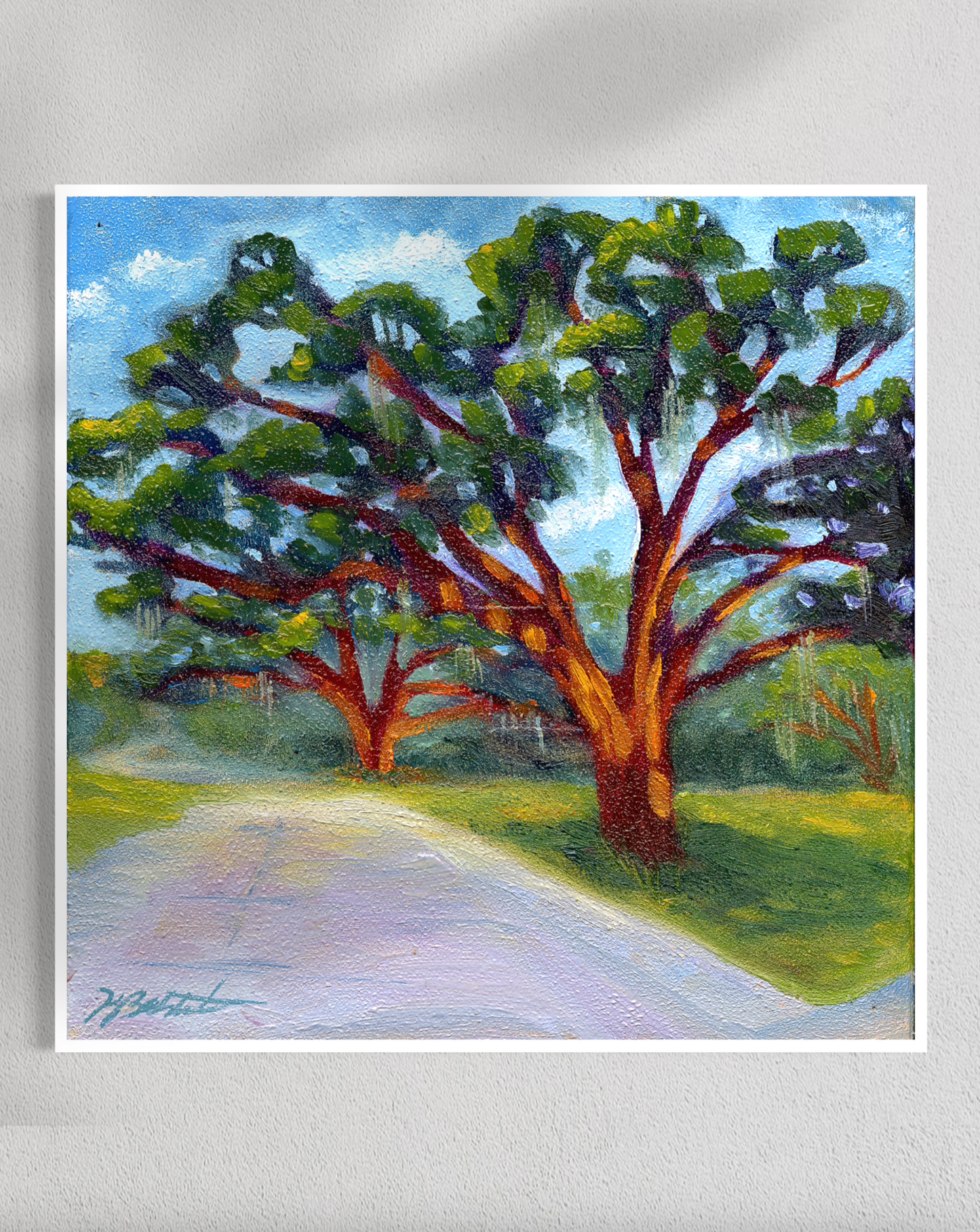 "Trees of Tallahassee #2" Fine Art Prints