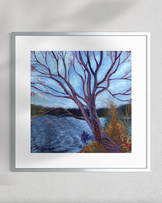 "Trees of Tallahassee #3" Fine Art Prints
