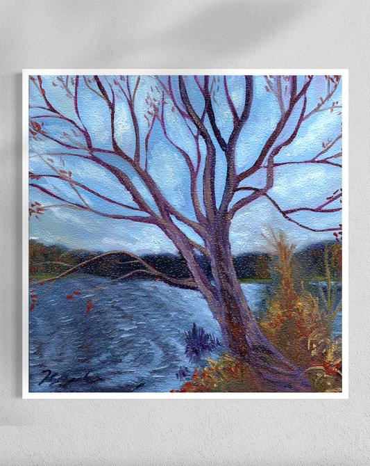 "Trees of Tallahassee #3" Fine Art Prints