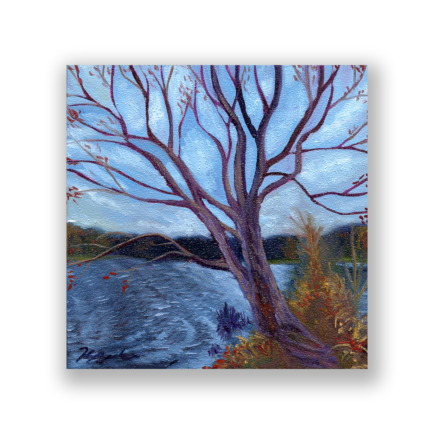 Trees of Tallahassee #3