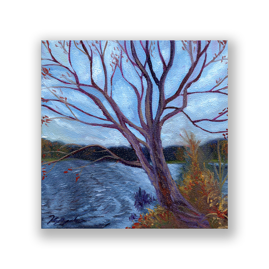 Trees of Tallahassee #3