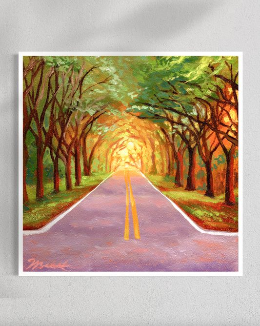 "Trees of Tallahassee #8" Fine Art Prints