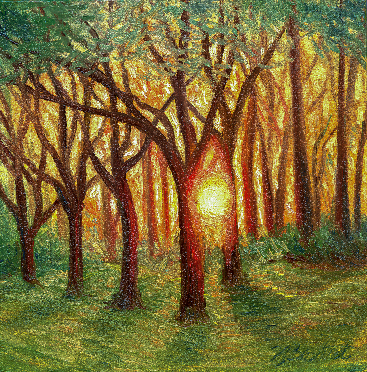 Trees of Tallahassee #4