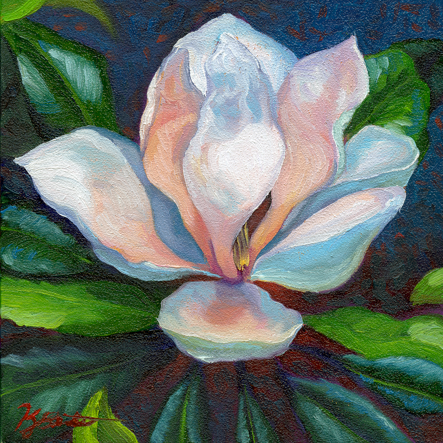 Magnolia Aglow