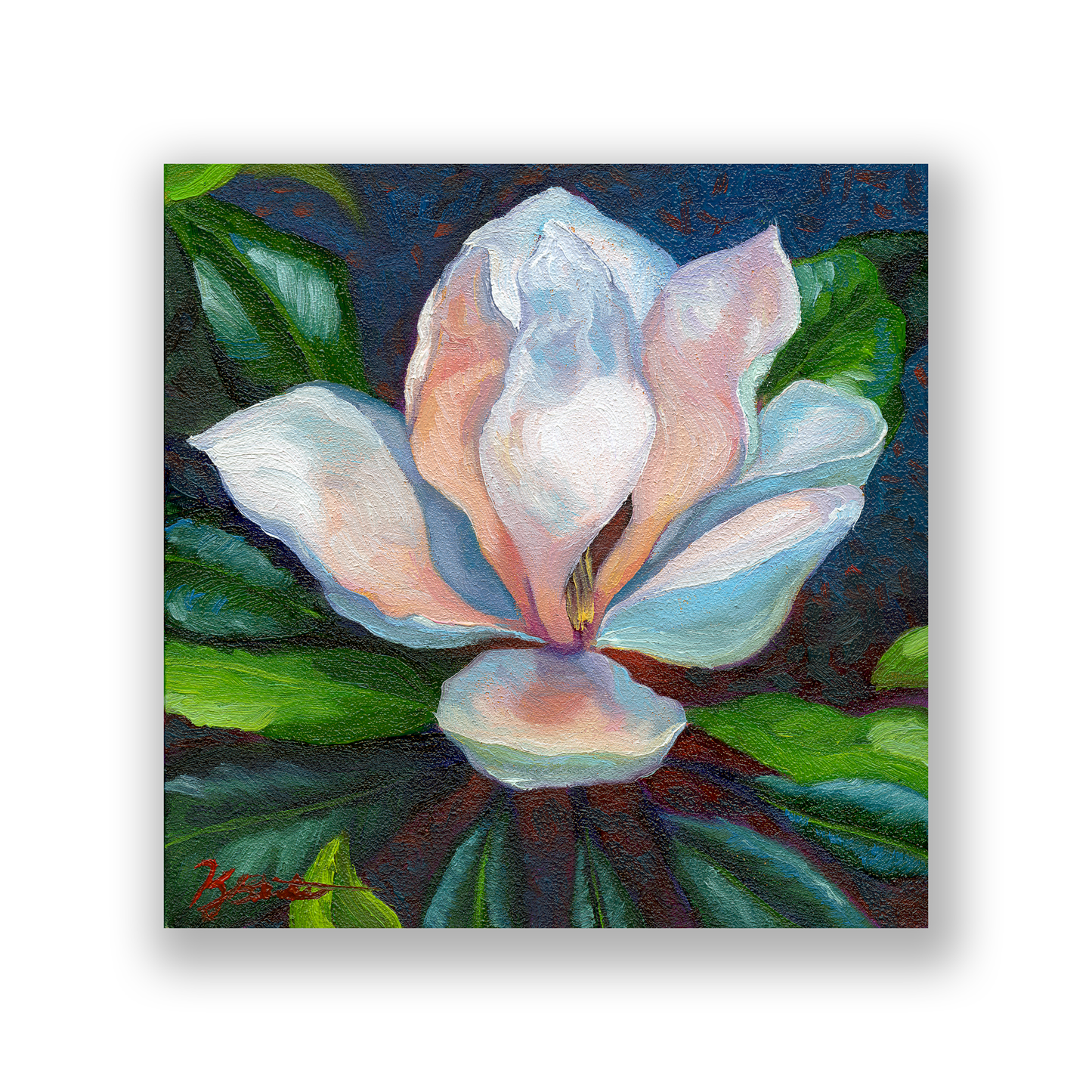 Magnolia Aglow