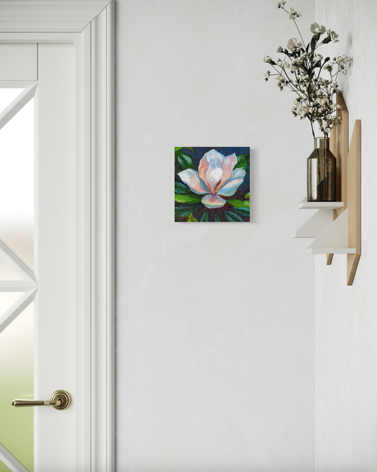 Magnolia Aglow