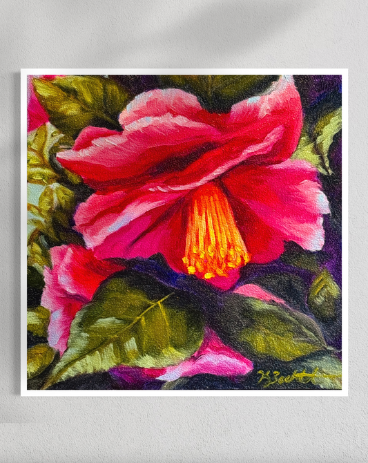 "Winter Radiance" Fine Art Prints