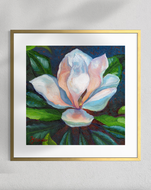 "Magnolia Aglow" Fine Art Prints