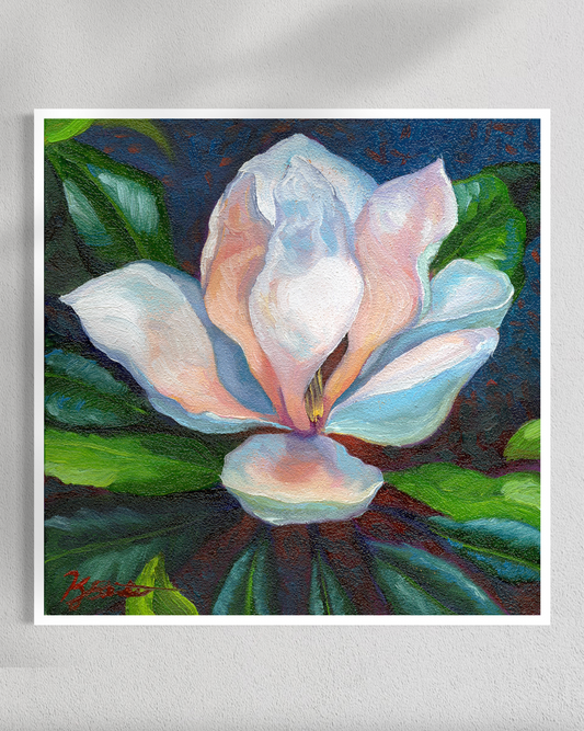 "Magnolia Aglow" Fine Art Prints