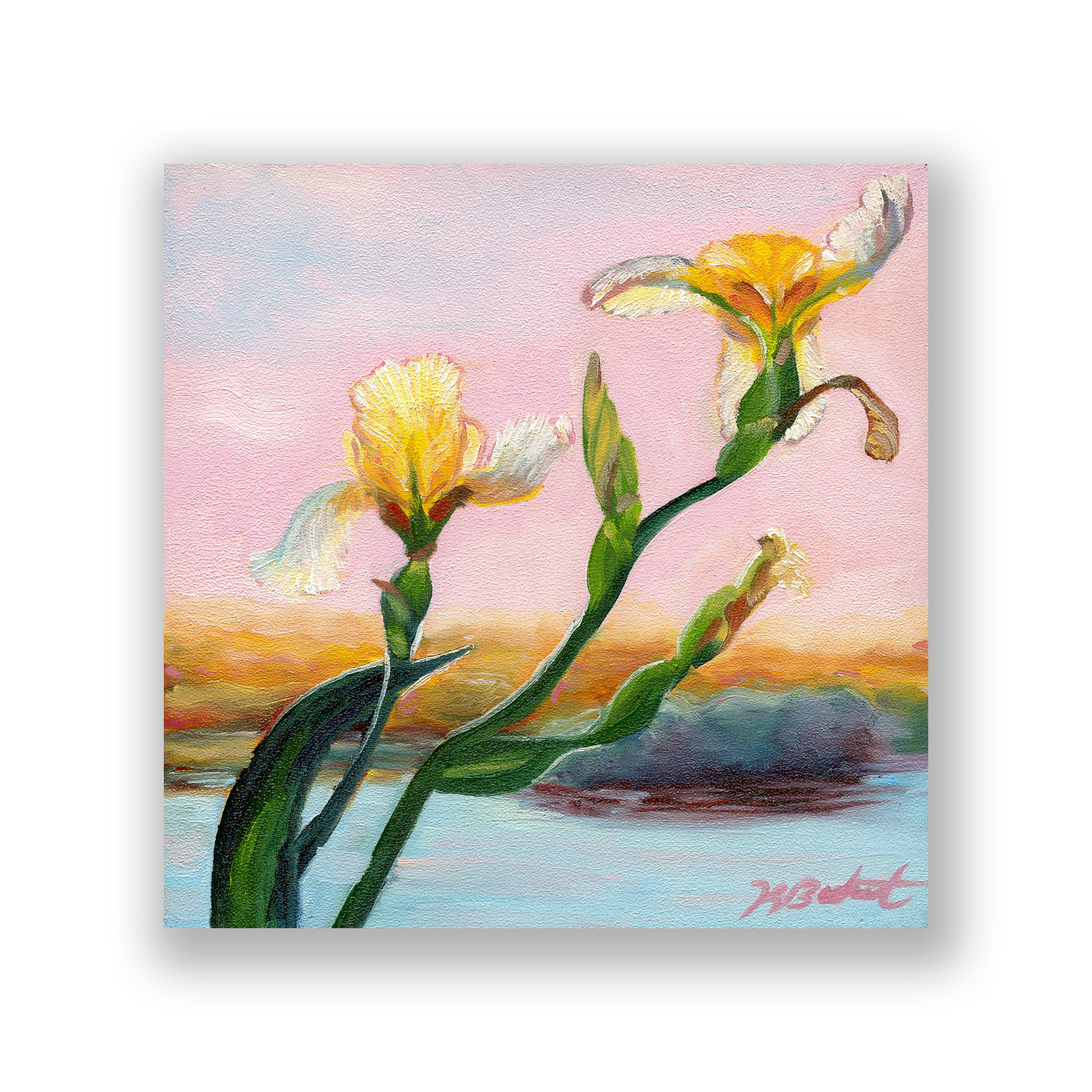 Wild Orchids