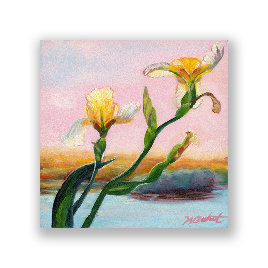 Wild Orchids