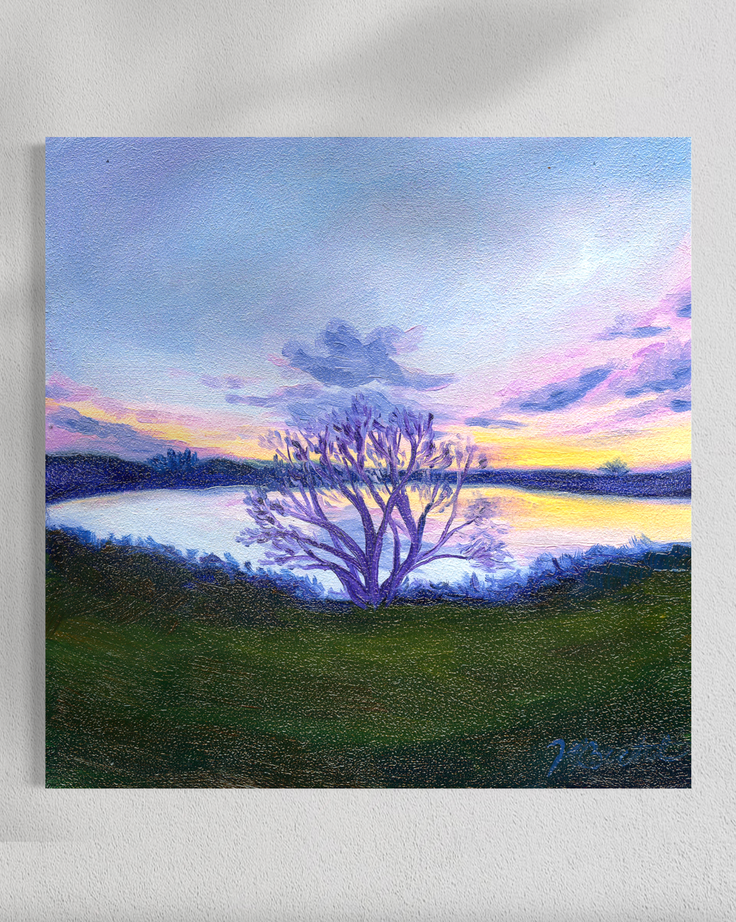 "Trees of Tallahassee #5" Fine Art Prints