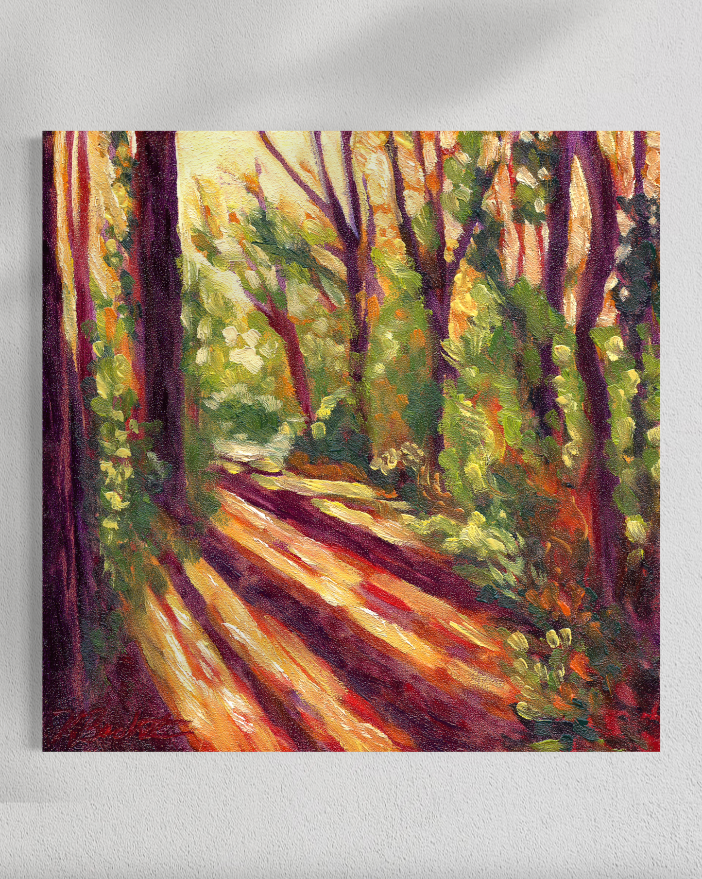 "Trees of Tallahassee #1" Fine Art Prints