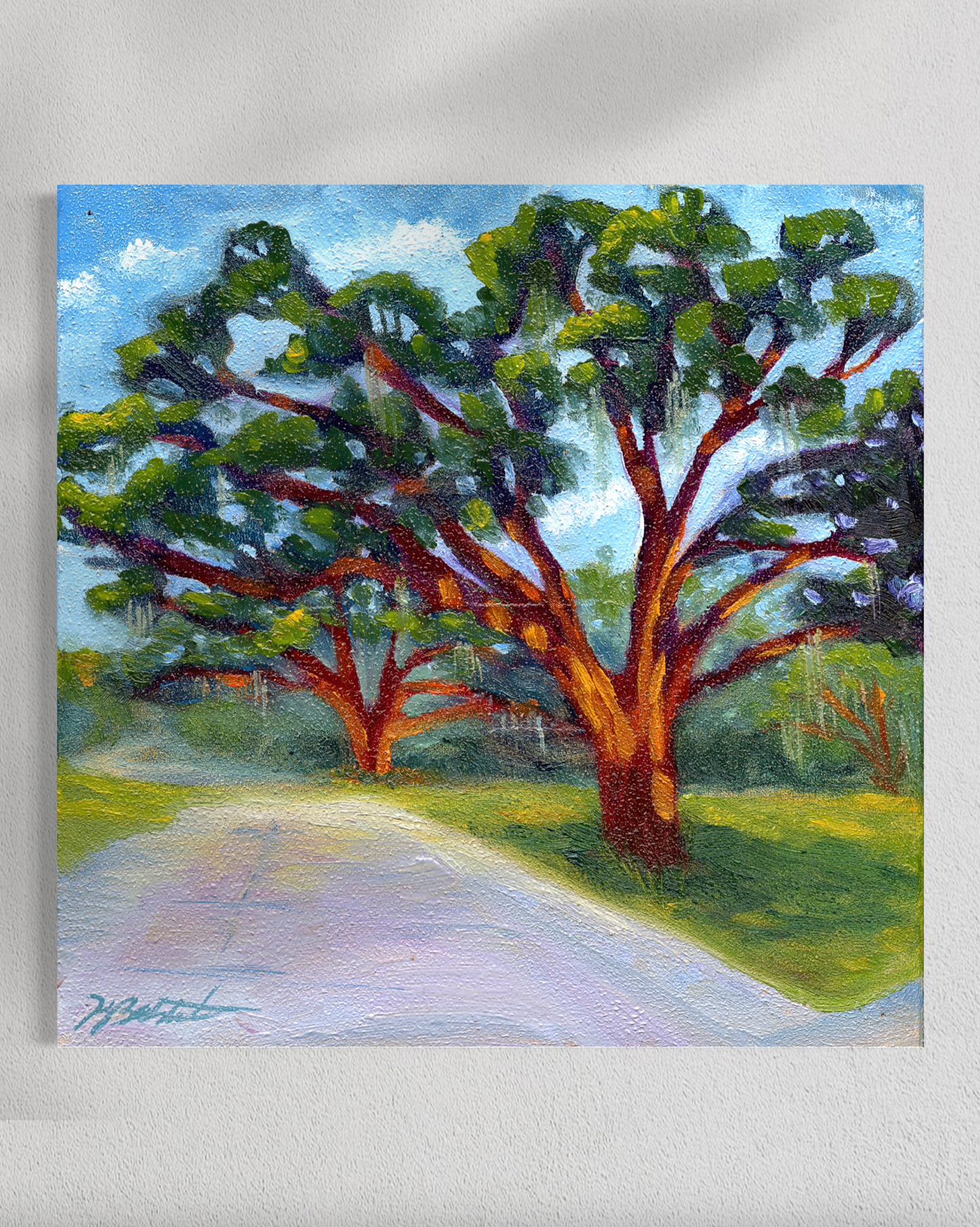"Trees of Tallahassee #2" Fine Art Prints