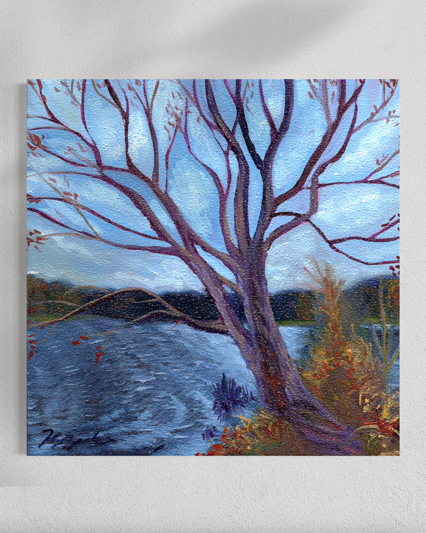 "Trees of Tallahassee #3" Fine Art Prints