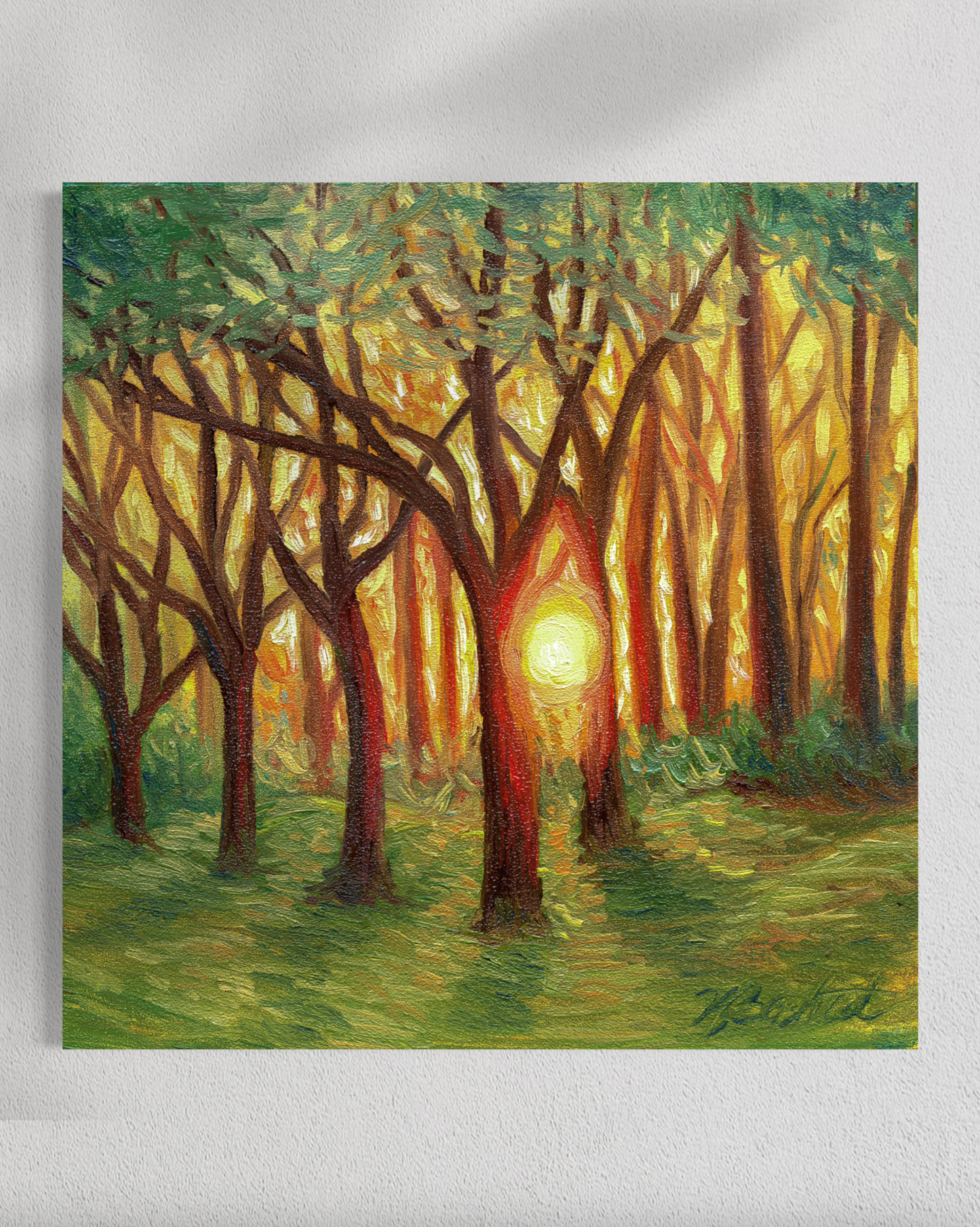 "Trees of Tallahassee #4" Fine Art Prints